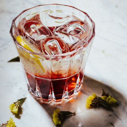 HİBİSCUS SODA